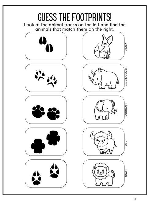 Children's Spanish Jungle Activity Pack - Paperback - Image 4